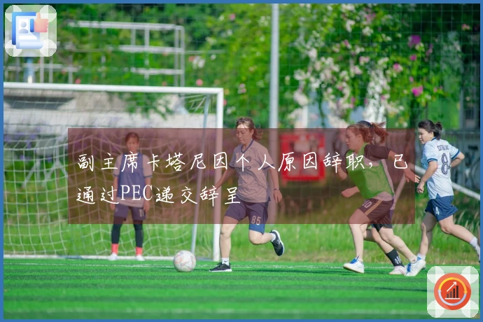 副主席卡塔尼因个人原因辞职，已通过PEC递交辞呈