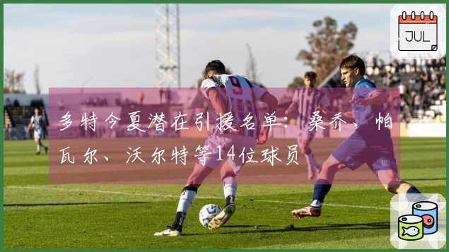 多特今夏潜在引援名单：桑乔、帕瓦尔、沃尔特等14位球员