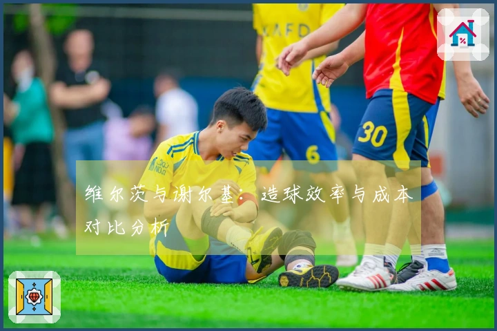 维尔茨与谢尔基：造球效率与成本对比分析